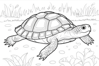 turtle
