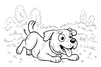 playing dog