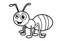 ant