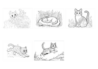 Cats demo collage