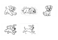 Dogs demo collage