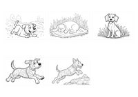 Dogs demo collage