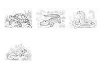 Reptiles demo collage
