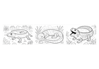 Reptiles demo collage
